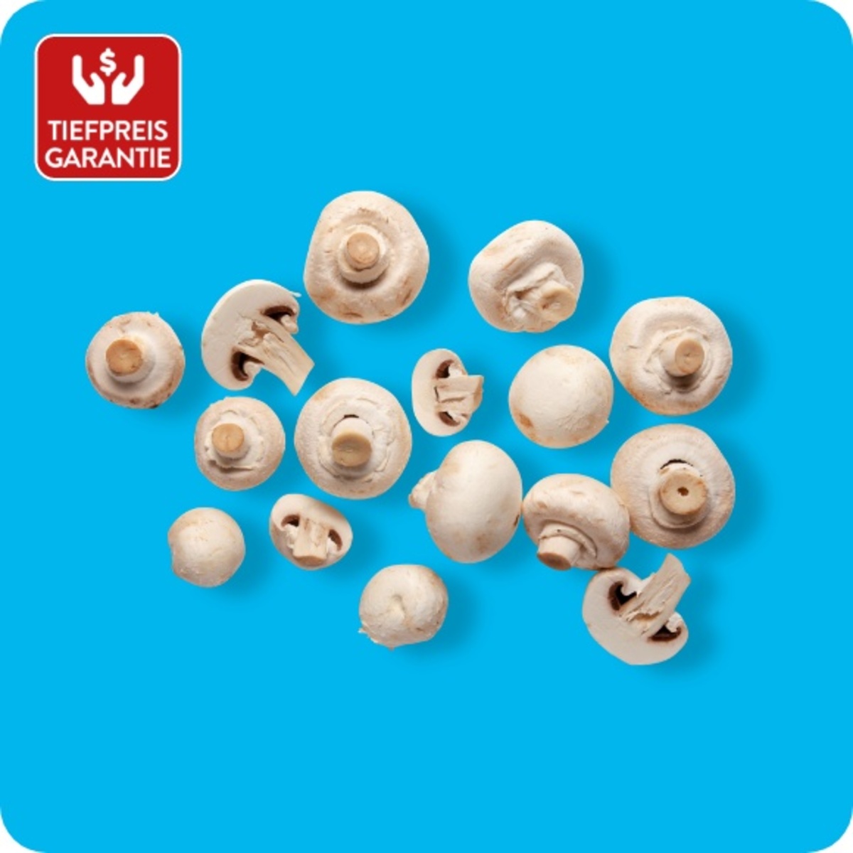 Bild 1 von Champignons, weiß