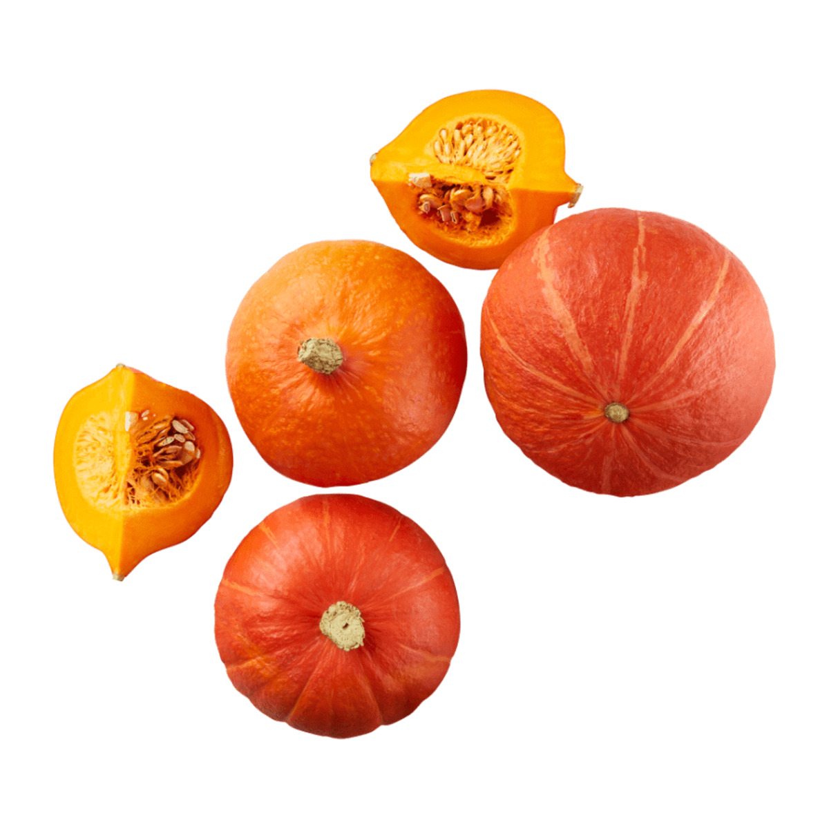 Bild 1 von GUT BIO Bio-Speisekürbis „Hokkaido“