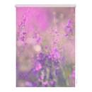 Bild 1 von Lichtblick Rollo Klemmfix, ohne Bohren, blickdicht, Blumenwiese - Fuchsia Violett