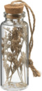 Bild 1 von Dekorieren & Einrichten Glasflasche mit Trockenblumen, braun