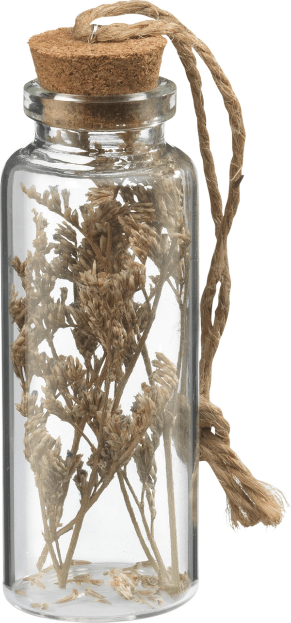 Bild 1 von Dekorieren & Einrichten Glasflasche mit Trockenblumen, braun