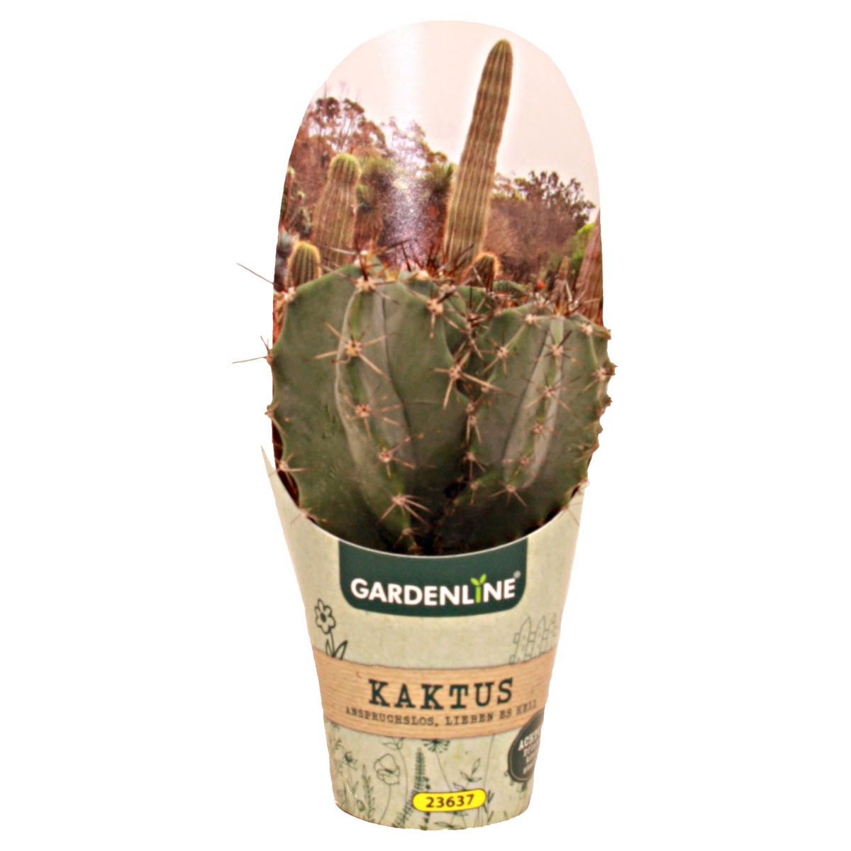 Bild 1 von GARDENLINE Kakteen oder Sukkulenten