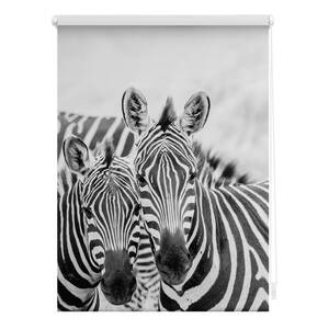Lichtblick Rollo Klemmfix, ohne Bohren, blickdicht, Zebra - Schwarz Weiß