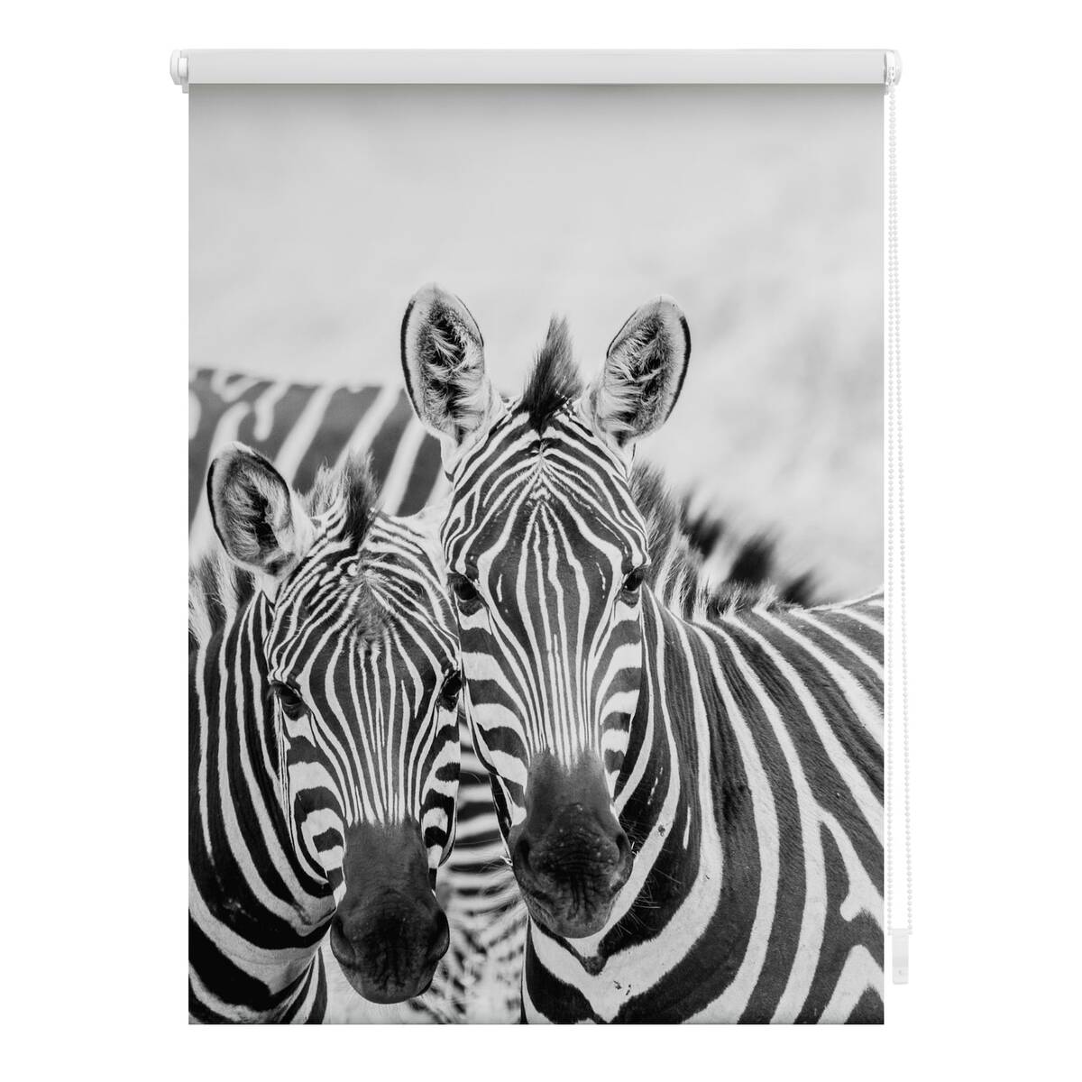 Bild 1 von Lichtblick Rollo Klemmfix, ohne Bohren, blickdicht, Zebra - Schwarz Weiß
