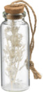 Bild 1 von Dekorieren & Einrichten Glasflasche mit Trockenblumen, weiß