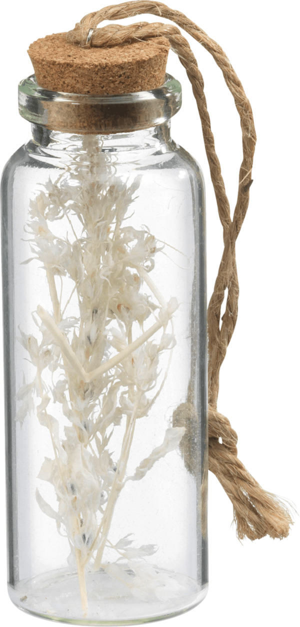 Bild 1 von Dekorieren & Einrichten Glasflasche mit Trockenblumen, weiß