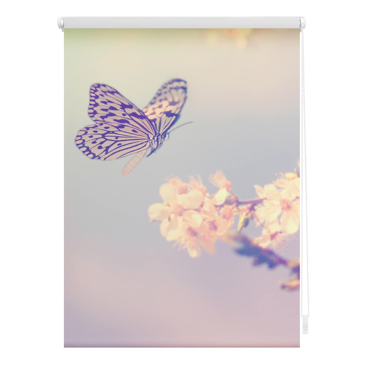 Bild 1 von Lichtblick Rollo Klemmfix, ohne Bohren, blickdicht, Schmetterling - Rosa