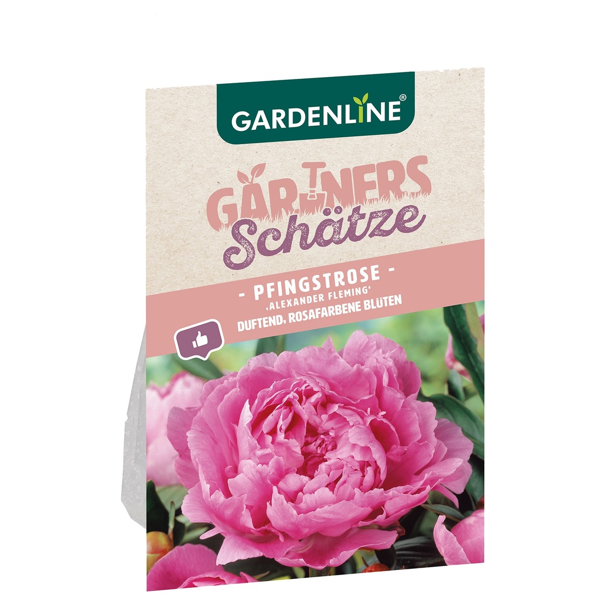 Bild 1 von GARDENLINE Pfingstrose