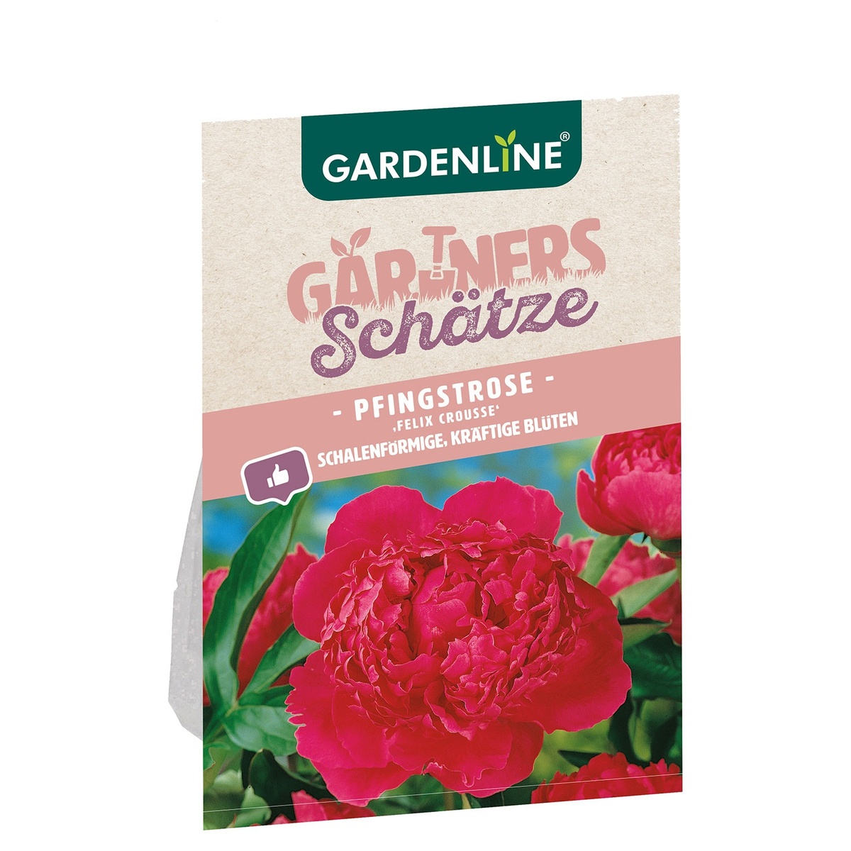 Bild 2 von GARDENLINE Pfingstrose