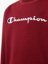 Bild 3 von Champion Sweatshirt