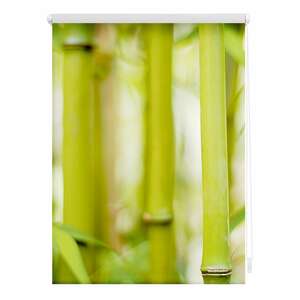 Lichtblick Rollo Klemmfix, ohne Bohren, Verdunkelung, Bambus - Grün