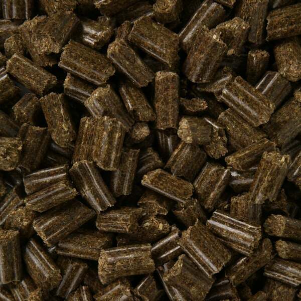 Bild 2 von Bunny KaninchenTraum basic 1,5kg