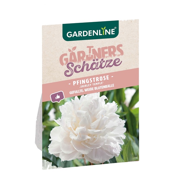 Bild 3 von GARDENLINE Pfingstrose