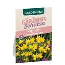 Bild 3 von GARDENLINE Frühlings-Blumenzwiebeln Deluxe