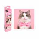 Diamond Painting Bild Katze 20 X 20 Cm Ansehen diamond-painting-bild-katze-20-x-20-cm-ansehen