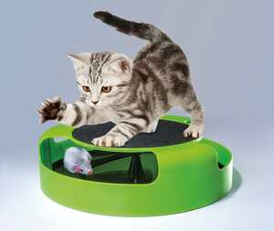 Turbo-Maus Katzenspielzeug