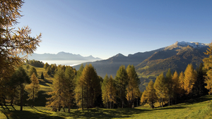 Italien – Südtirol - 4*S Hotel Wiesenhof Garden Resort