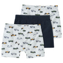 Bild 1 von 3 Jungen Boxer in verschiedenen Dessins