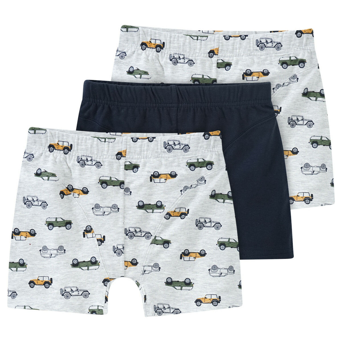 Bild 1 von 3 Jungen Boxer in verschiedenen Dessins