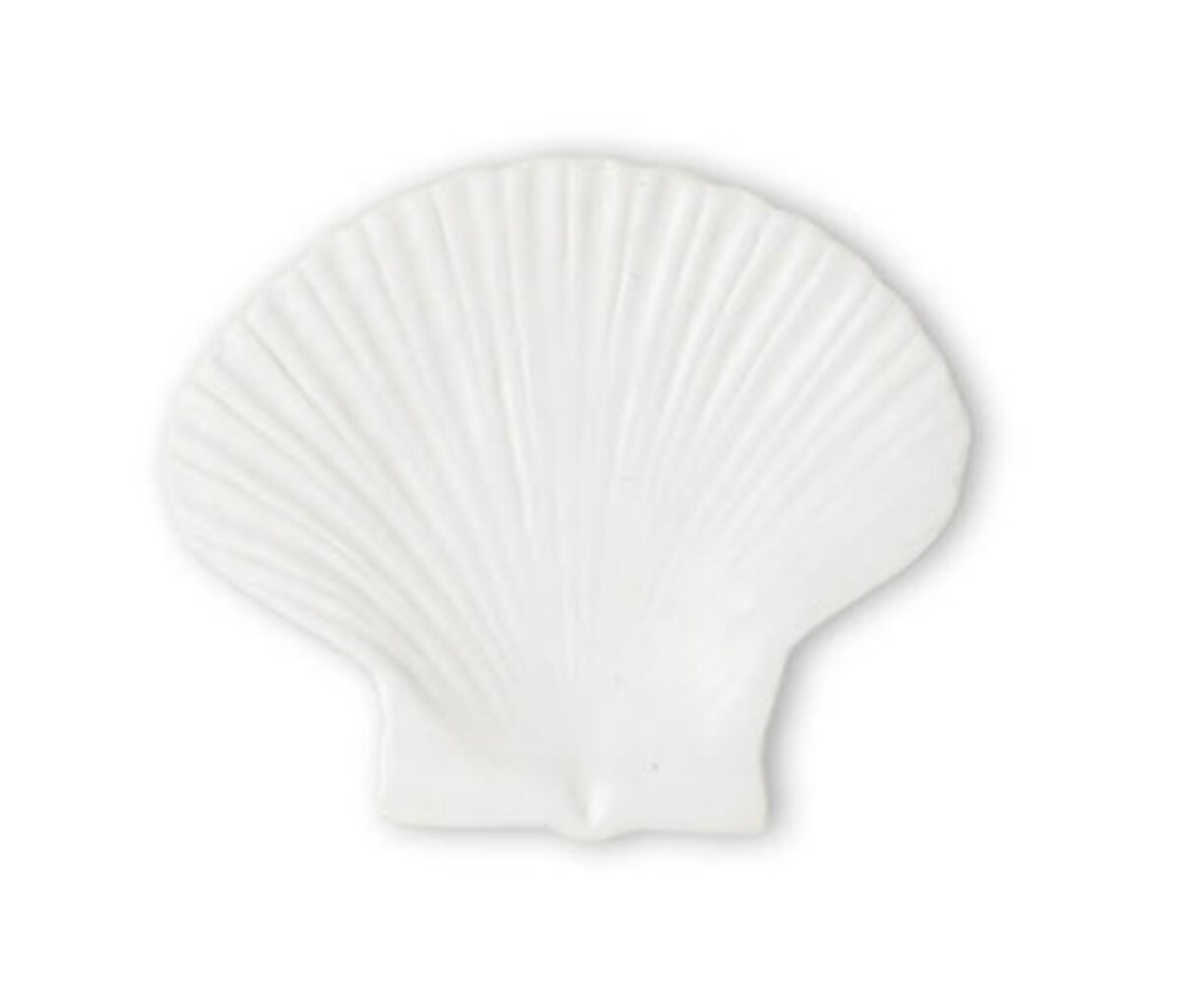 Bild 1 von 2 Teller »Shell«, Gr. M