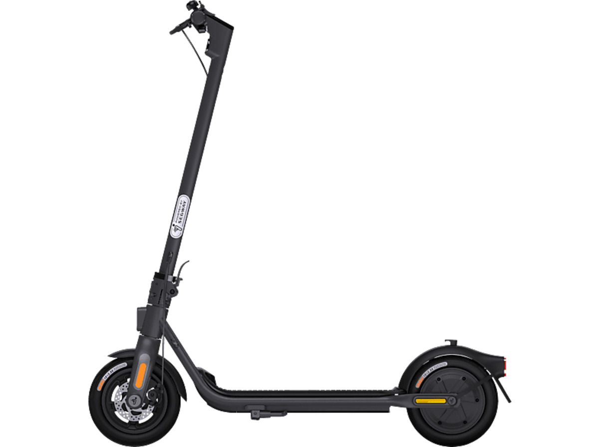 Bild 1 von NINEBOT F2 D E-Scooter (10 Zoll, Black)