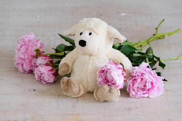 Bild 3 von Warmies® Wärmekissen MINIS Schaf beige, für die Mikrowelle und den Backofen