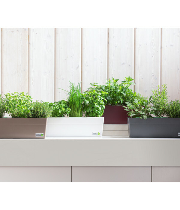 Bild 2 von GREENBAR® Kräuter-Set Vielfalt, 9-teilig