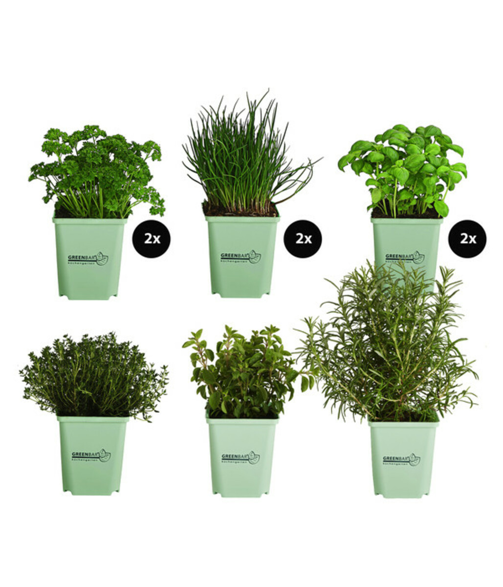 Bild 1 von GREENBAR® Kräuter-Set Vielfalt, 9-teilig