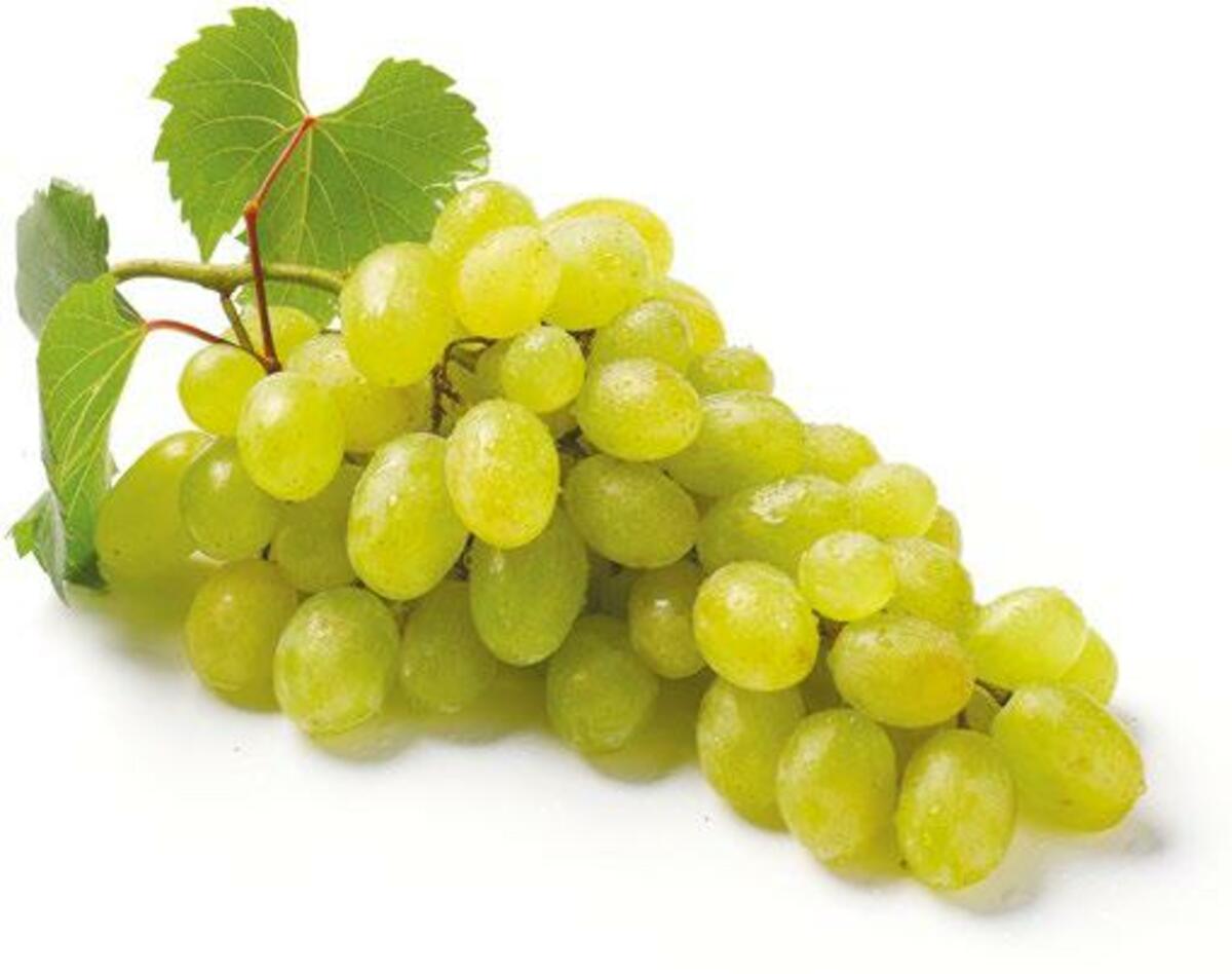 Bild 1 von Premieur Trauben „Italia"