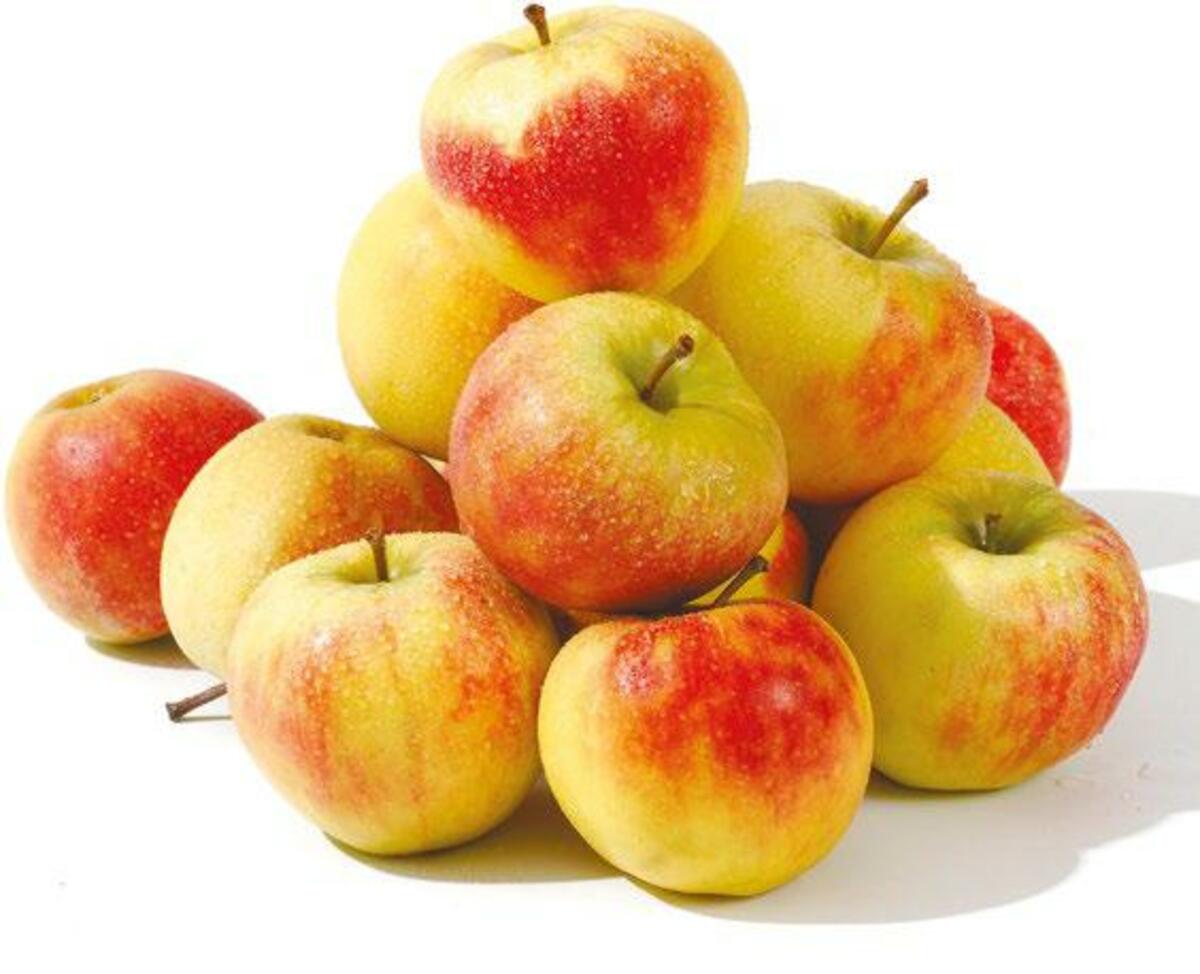 Bild 1 von GO Regio Elstar