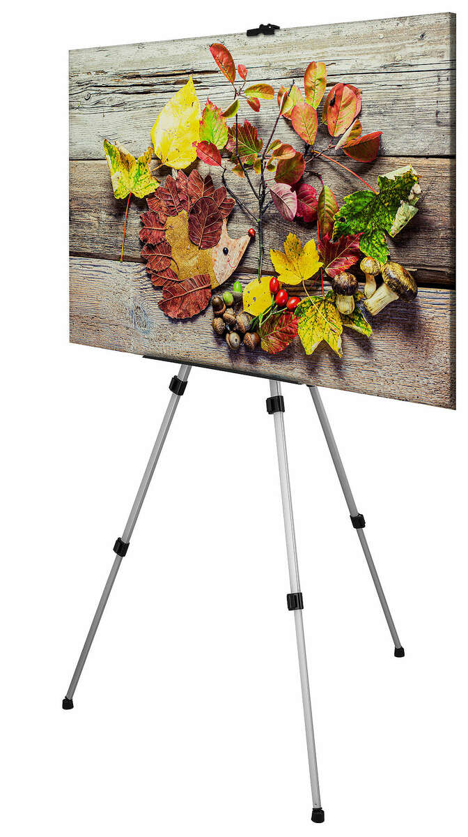 Bild 1 von TALENTUS® Staffelei