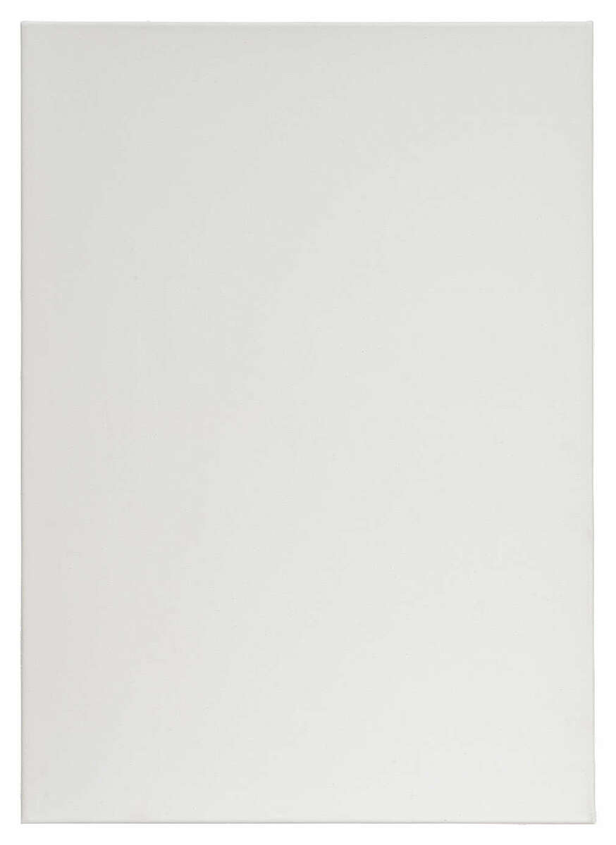 Bild 1 von TALENTUS® Leinwand