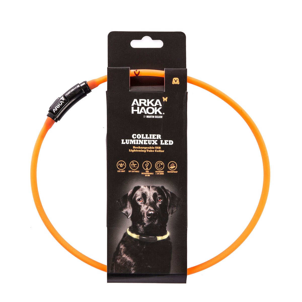 Bild 1 von Hundehalsband leuchtend rund orange