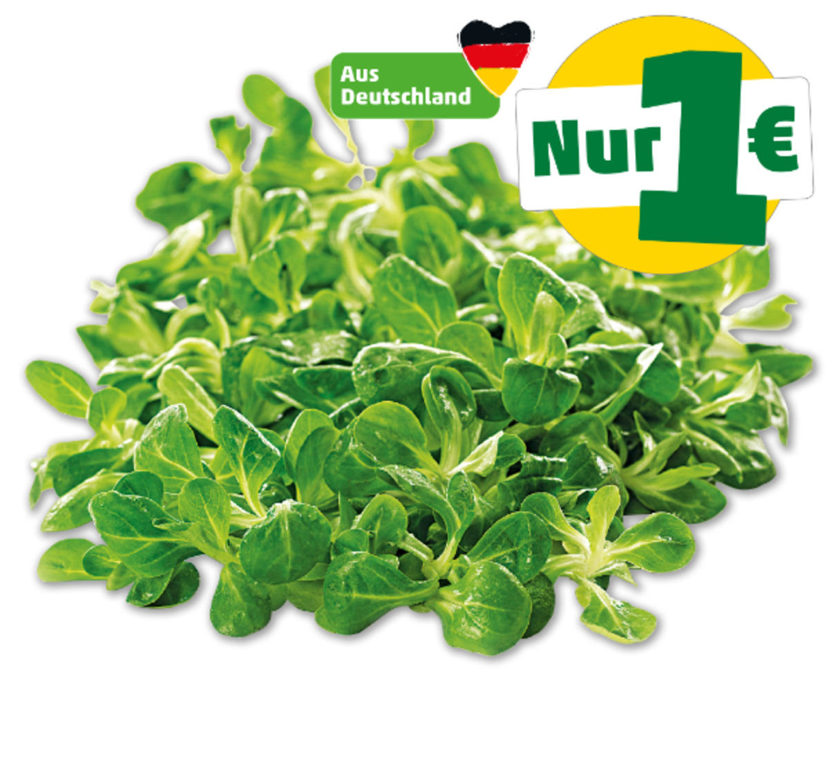 Bild 1 von MARKTLIEBE Deutscher Feldsalat*