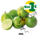 Bild 1 von NATURGUT Bio-Limetten