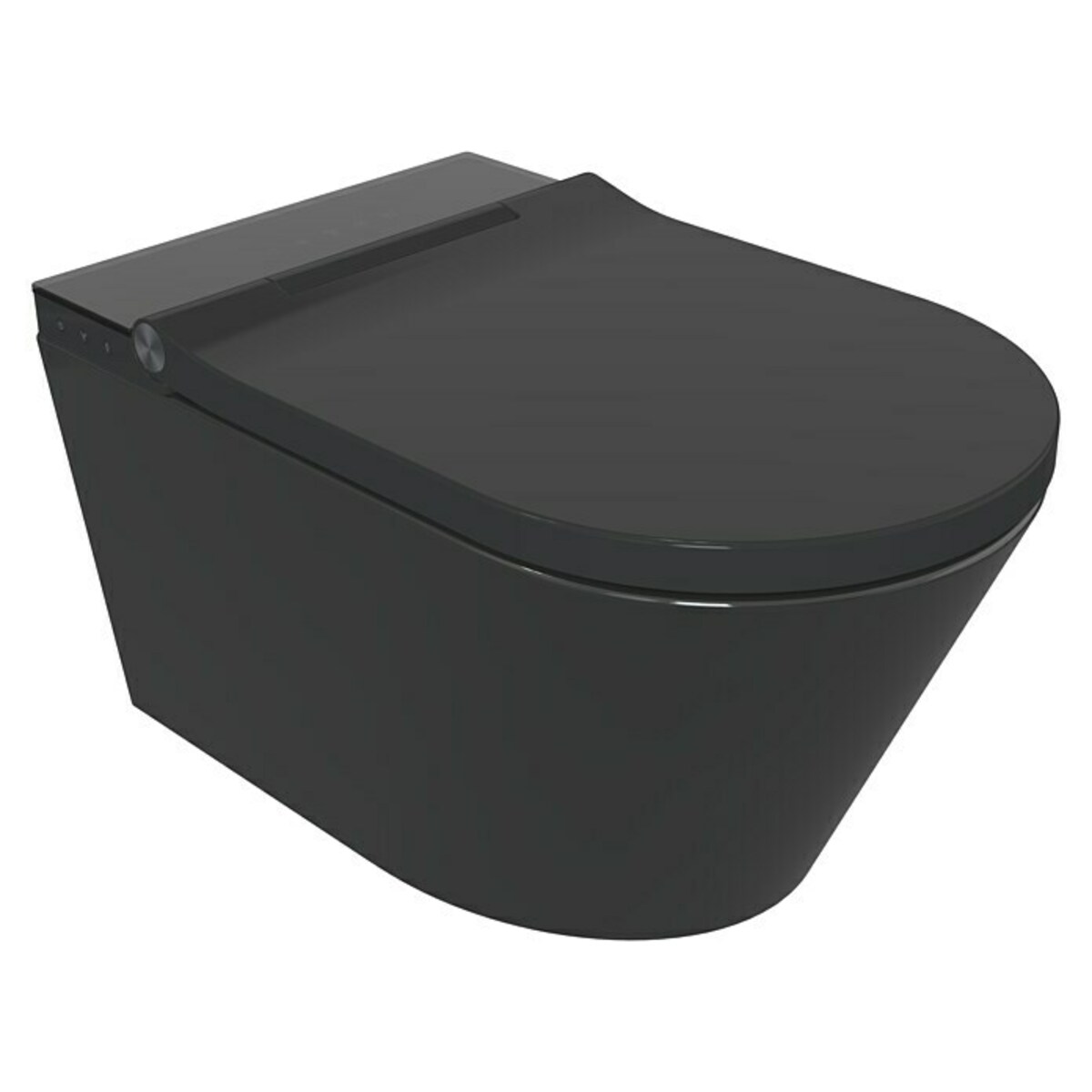 Bild 1 von Camargue Wand-Dusch-WC-Set Timeless Dark Clean