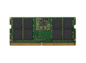 16GB DDR5 (1x16GB) 5600 SODIMM ECC Memory