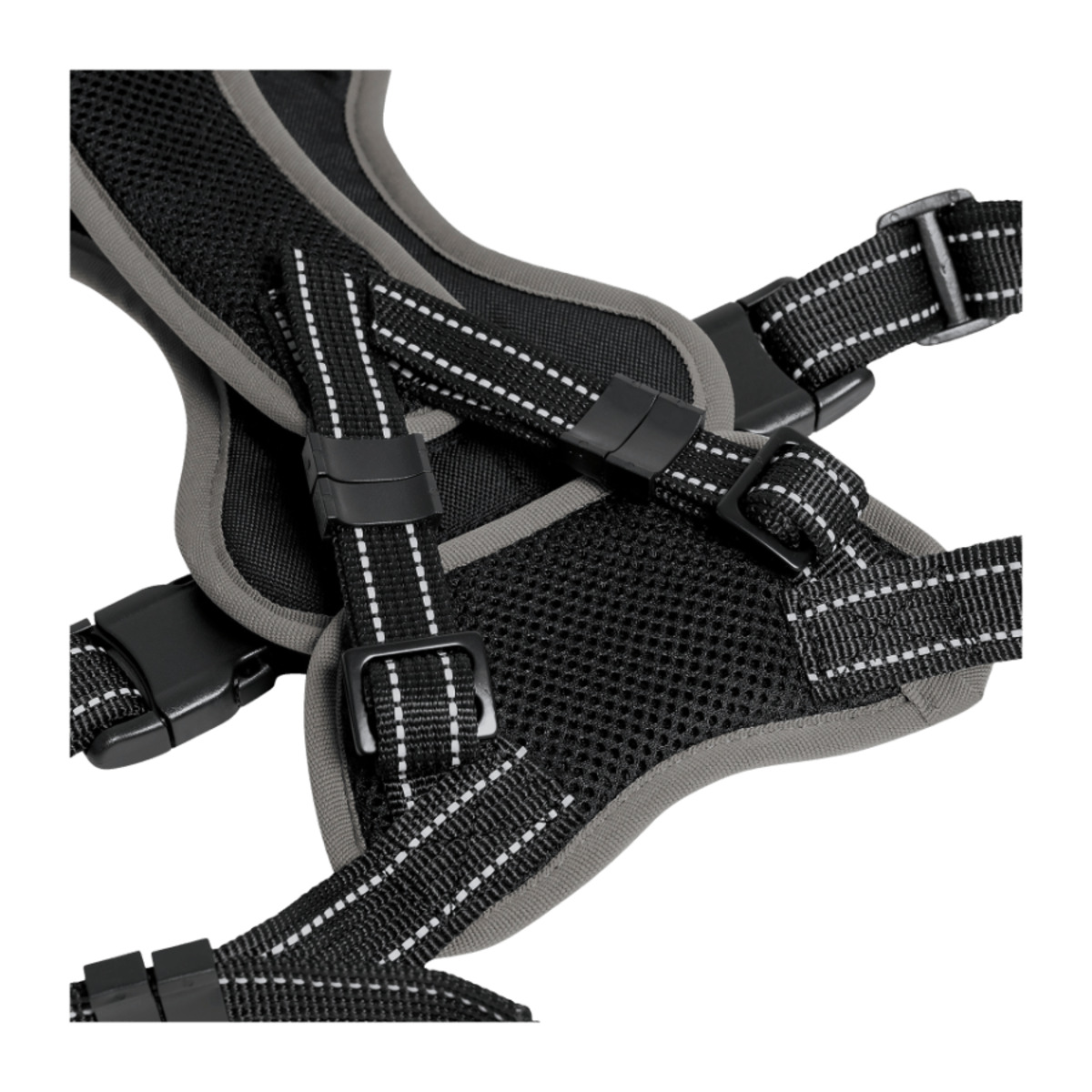 Bild 4 von MARTIN RÜTTER Hundegeschirr