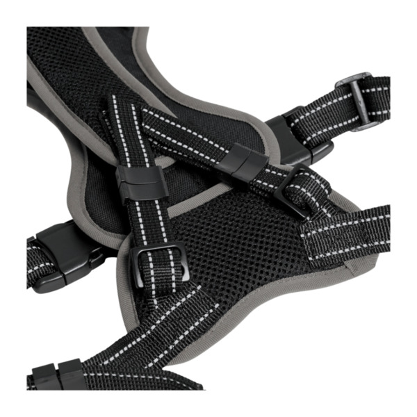 Bild 4 von MARTIN RÜTTER Hundegeschirr