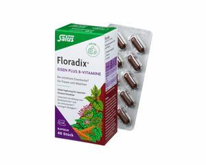 Salus Floradix Eisen plus B-Vitamine 40 Kapseln