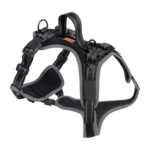 Bild 2 von MARTIN RÜTTER Hundegeschirr