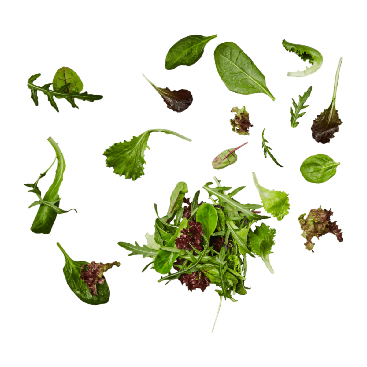 Bild 1 von Pflücksalat