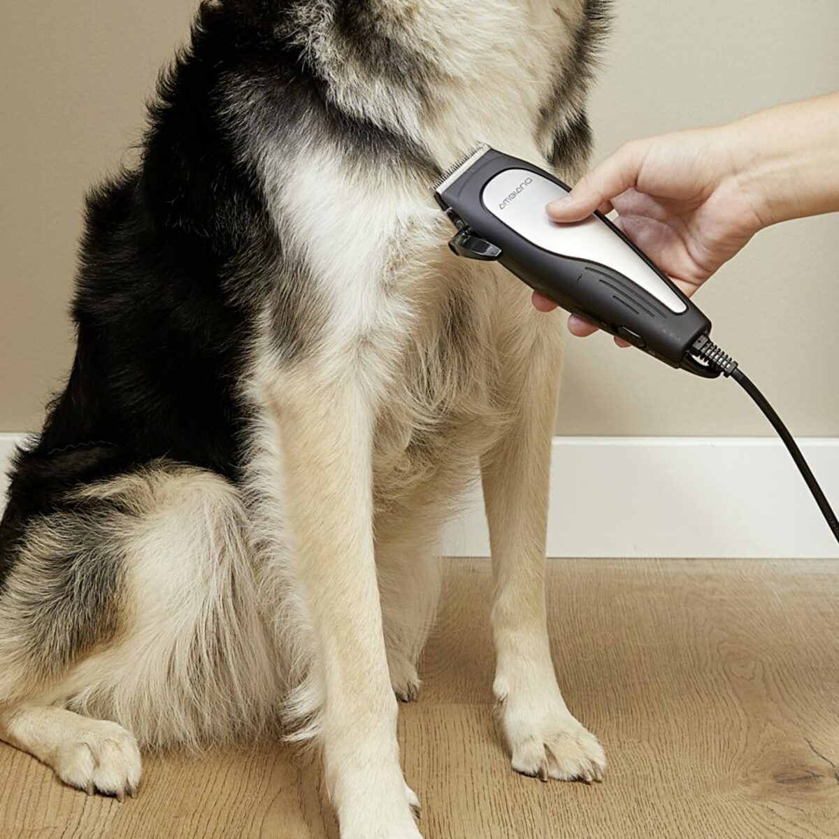 Bild 4 von AMBIANO Tierhaarschneider