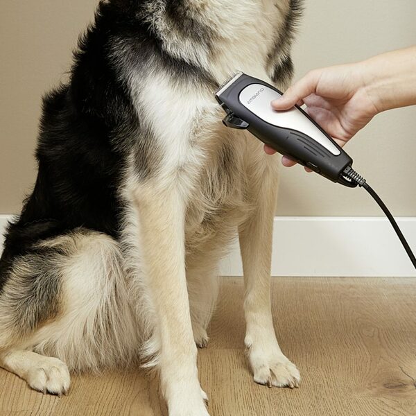 Bild 4 von AMBIANO Tierhaarschneider