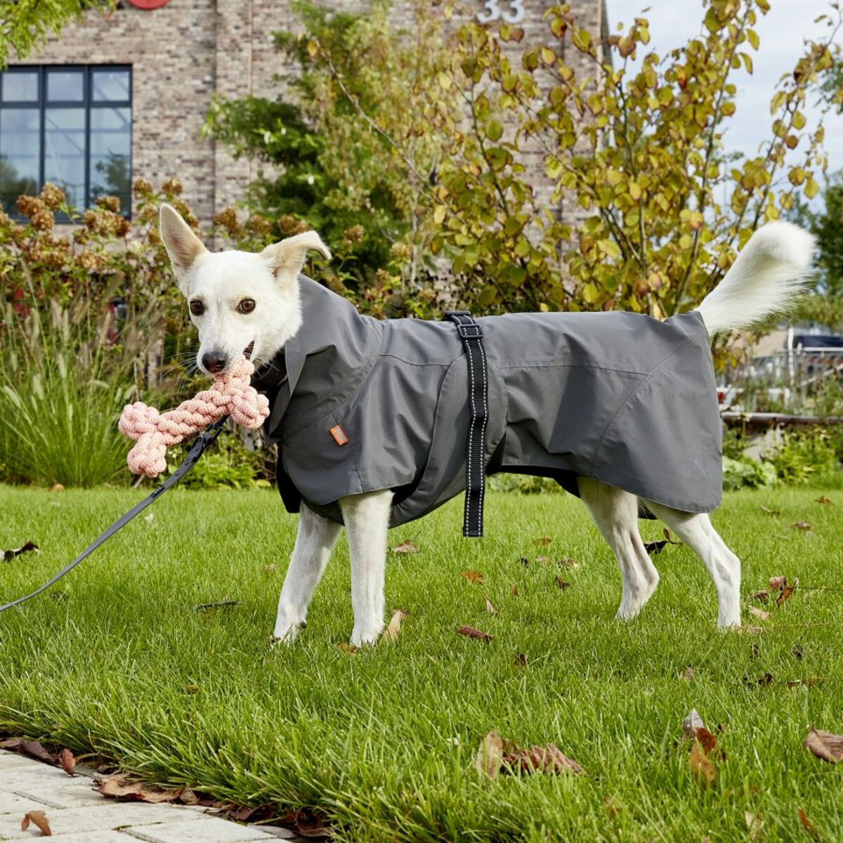 Bild 2 von MARTIN RÜTTER Hunderegenmantel