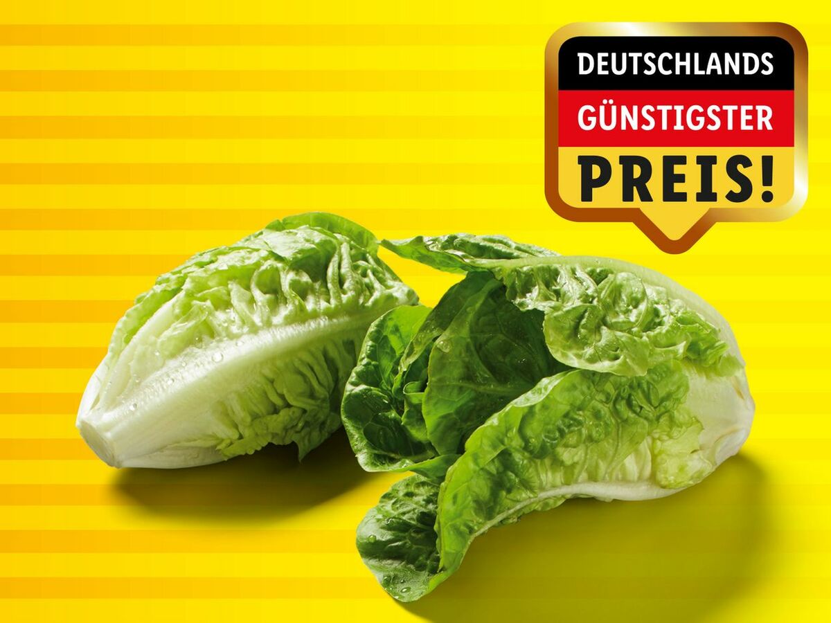 Bild 1 von Mini Romana Salat