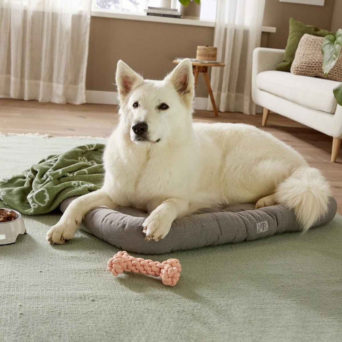 Bild 4 von MARTIN RÜTTER Hundebett