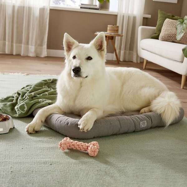 Bild 4 von MARTIN RÜTTER Hundebett