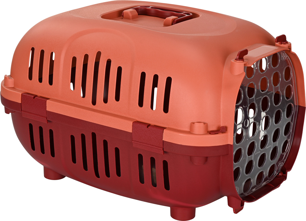 Bild 1 von FIT+FUN Transportbox max. 7,5 kg