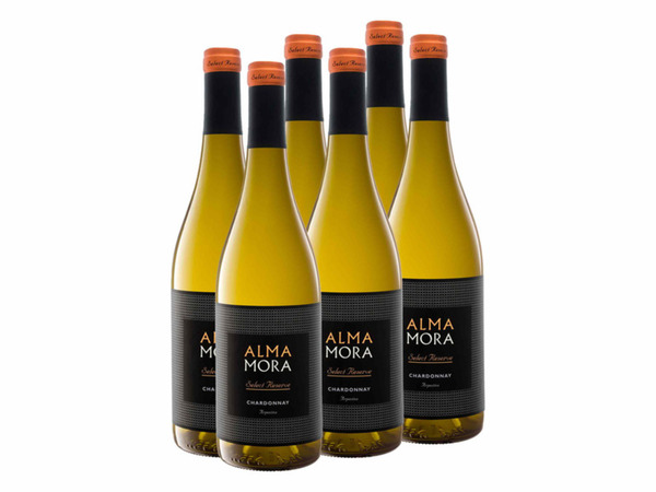 Bild 1 von 6 x 0,75-l-Flasche Weinpaket Alma Mora Select Reserve Chardonnay Argentinien trocken, Weißwein